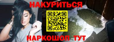 индика Камышлов