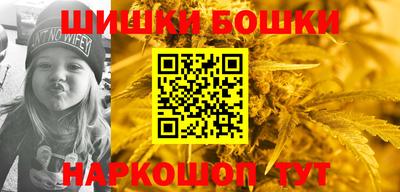 индика Камышлов