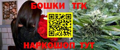 индика Камышлов