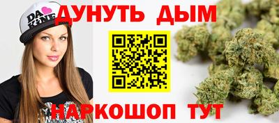 индика Камышлов