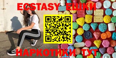 индика Камышлов
