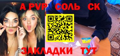 индика Камышлов