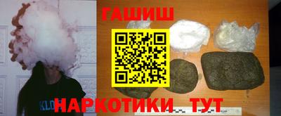 индика Камышлов