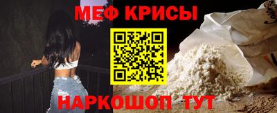 индика Камышлов