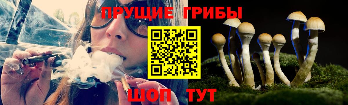 Псилоцибиновые грибы Cubensis Лангепас